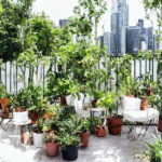 Fra balkon til paradis: Opdag de bedste plantestativer til små uderum